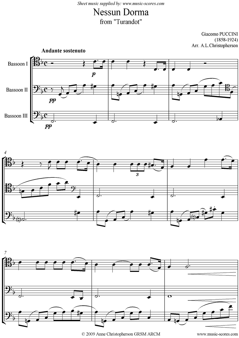 Front page of Turandot: Nessun Dorma: Bassoon Trio sheet music