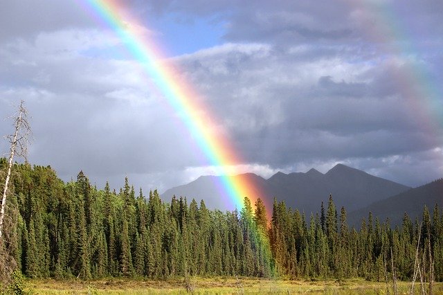 A photograph of a partial rainbow over a forest