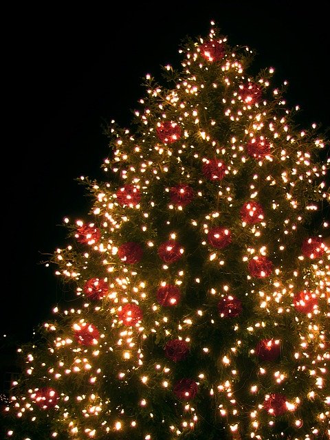 Outdoor Christmas tree with lights