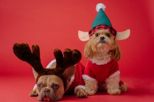 Christmas classical sheet music pets