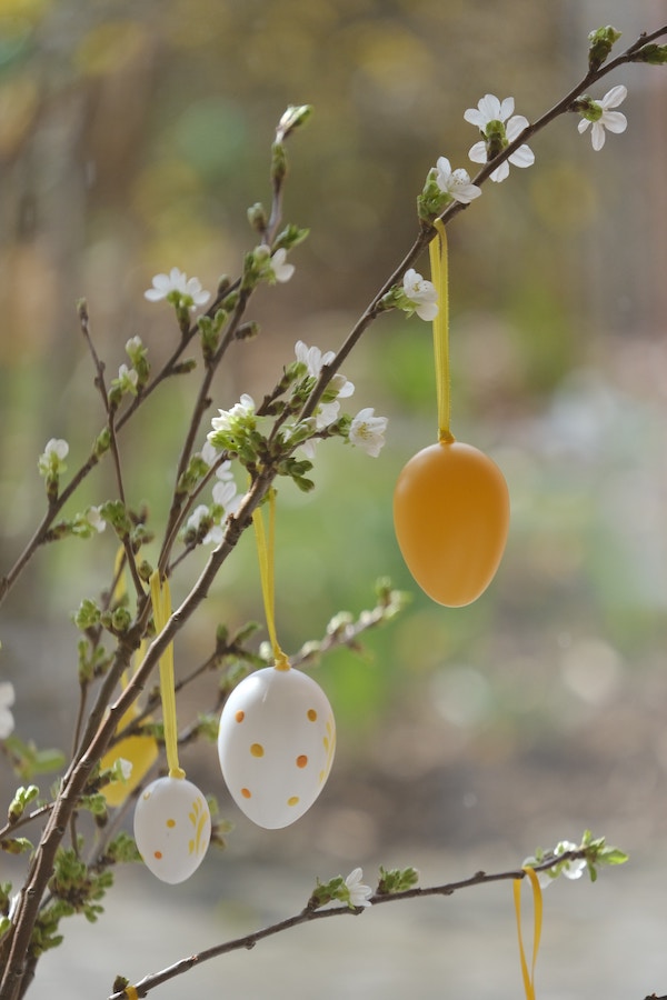 Easter eggs hanging on blossom tree