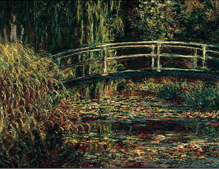 Bridge over lily pond