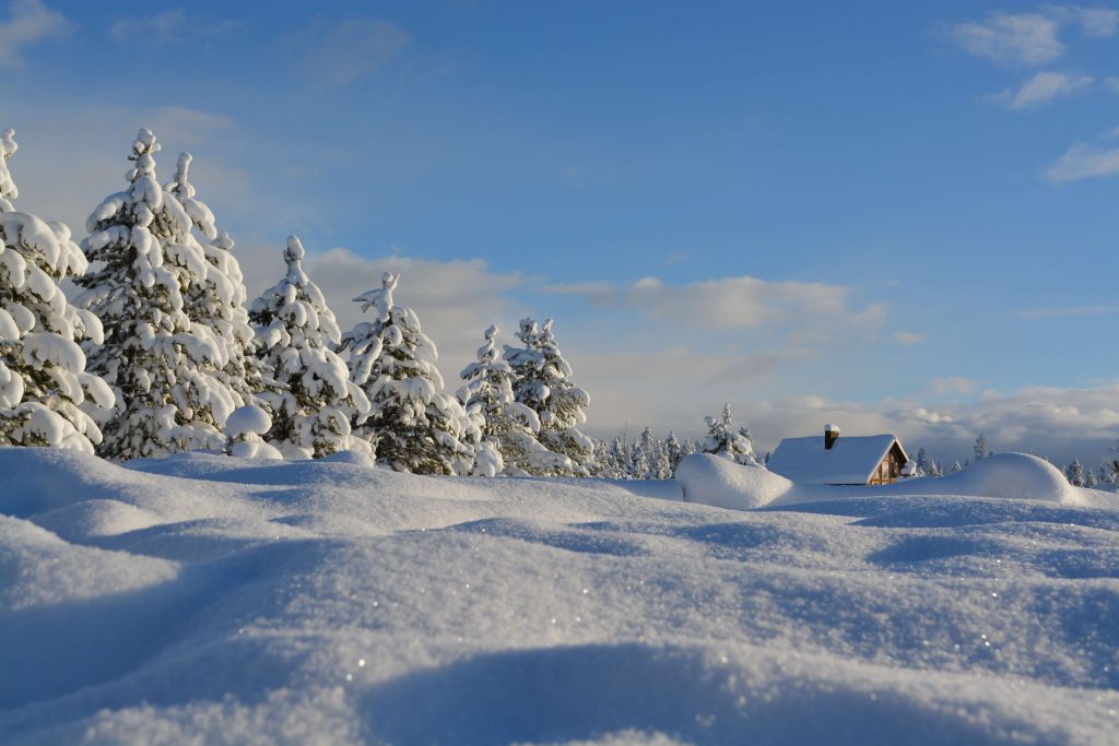 snowy winter scene