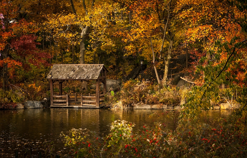photo of a lake and hut in autumn