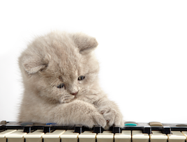 picture of a cat leaning on a keyboard