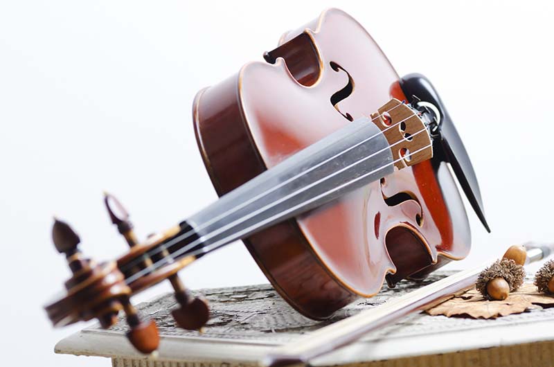 picture of violin