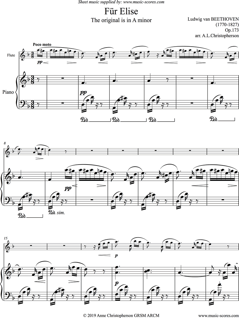 Front page of Für Elise: Flute sheet music