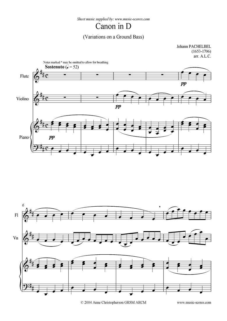 Canon in d flute clearance
