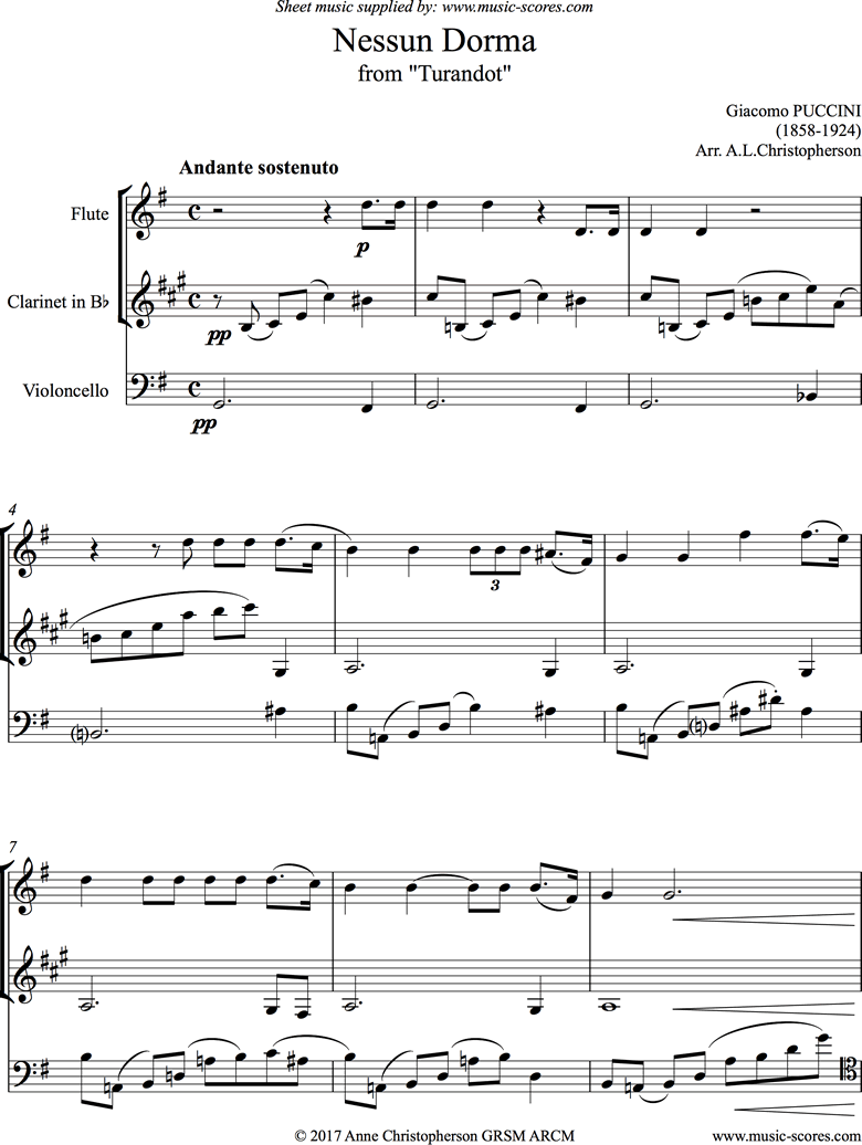 Front page of Turandot: Nessun Dorma: Flute, Clarinet, Cello sheet music