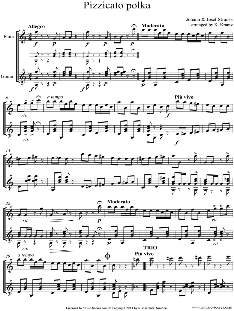 Front page of Pizzicato Polka: Flute, Guitar sheet music